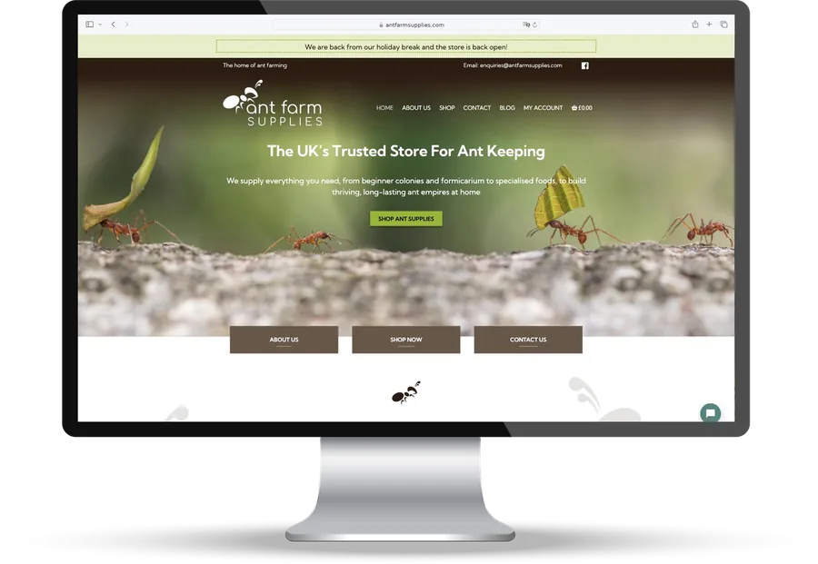 Ant Farm Supplies website on a desktop screen